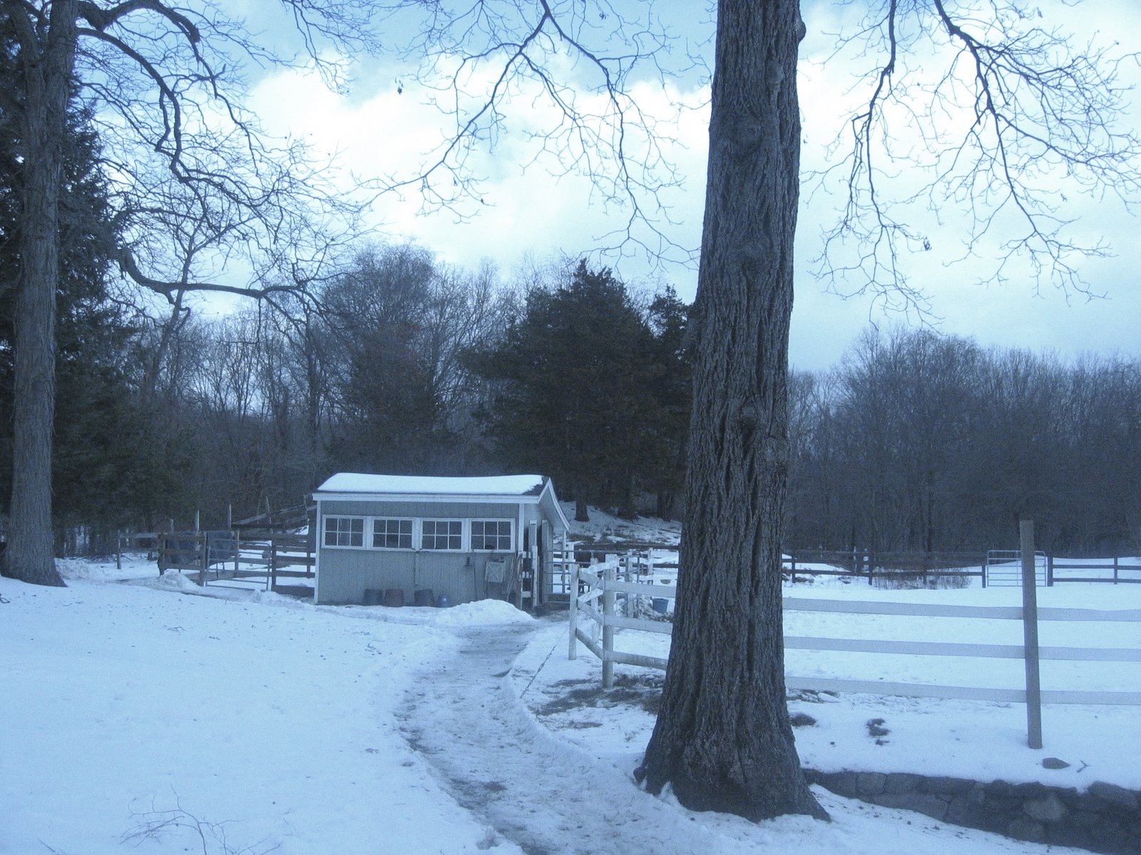 [Barn+in+Snow.jpg]