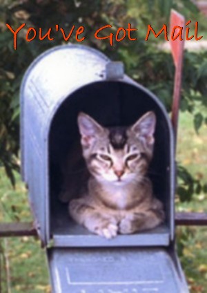 [cat+in+mailbox.jpg]