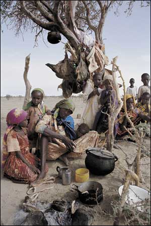 [Darfur4.jpg]