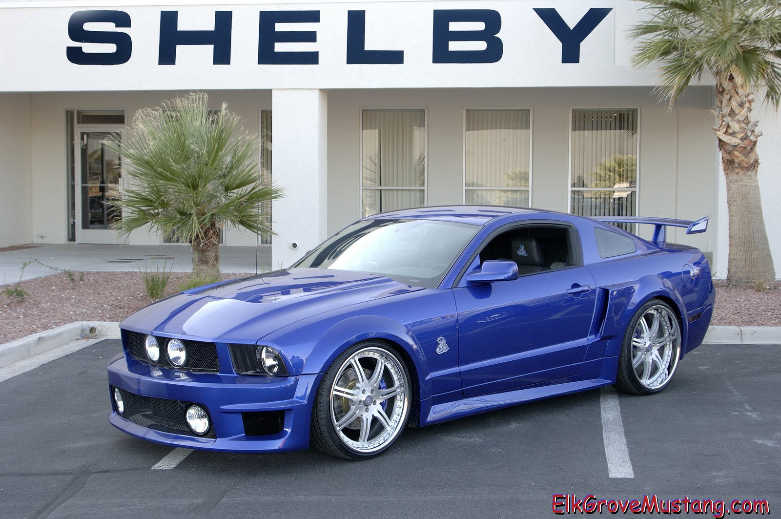 [Shelby-WCC_Mustang_Driver_Front_3-4.jpg]