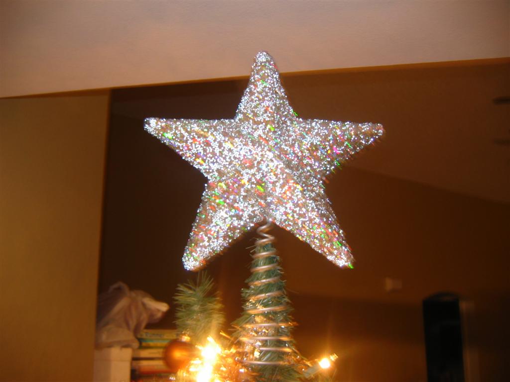 [20061207+O+Christmas+Tree+017+(Large).jpg]