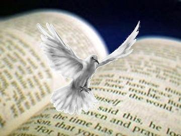 [Bible+and+Dove.bmp]