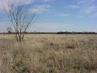 RPQRR, Fisher County, Texas