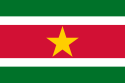 [Flag_of_Suriname.png]