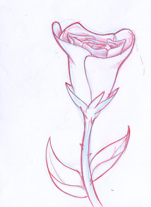 [rose+boceto.jpg]