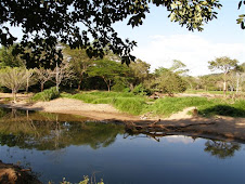 Río Lagarto