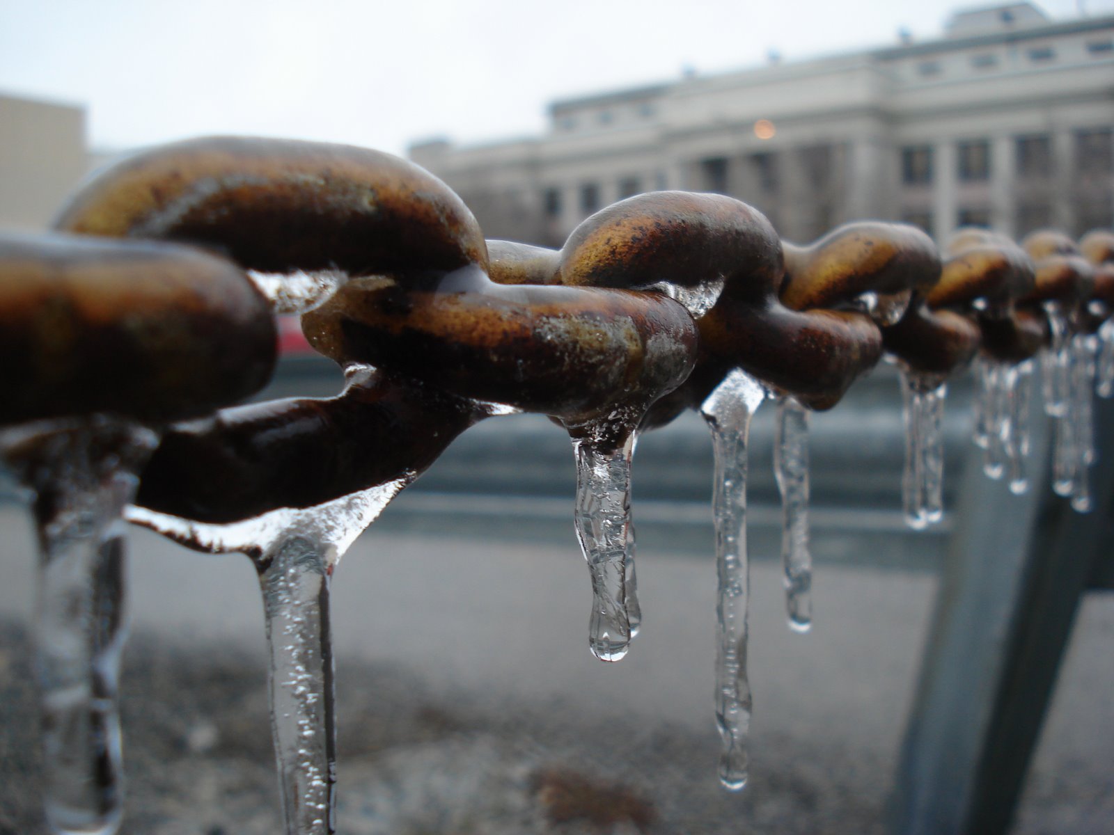 [icicles+on+a+chain.jpg]