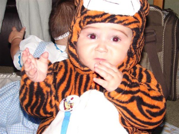 [tiger+baby.jpg]