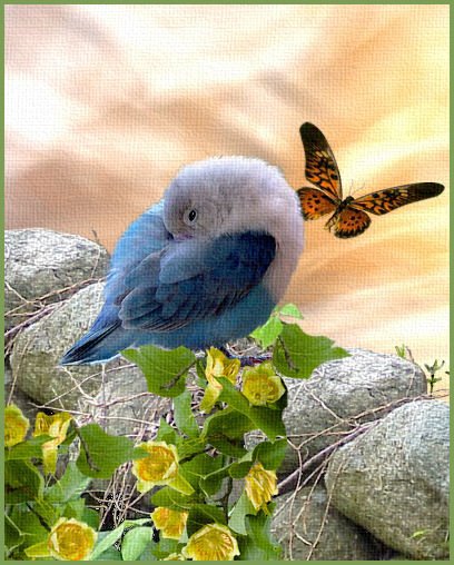 [blom-bluebird-stenmur-08.jpg]