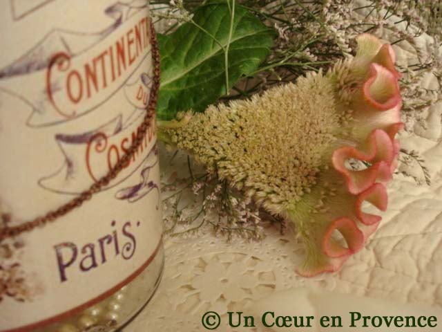 [2+Le+bocal+Pompadour+-+Un+Cœur+en+Provence+©.jpg]