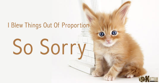 [sorry+cat.jpg]