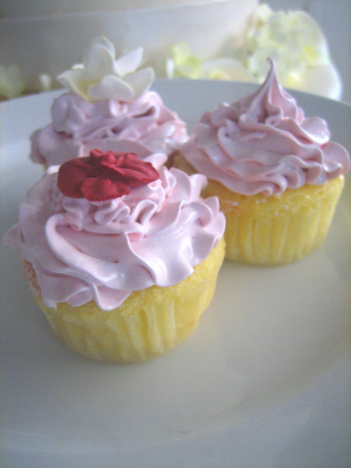 [cupcakes-pink+marshamllow.jpg]