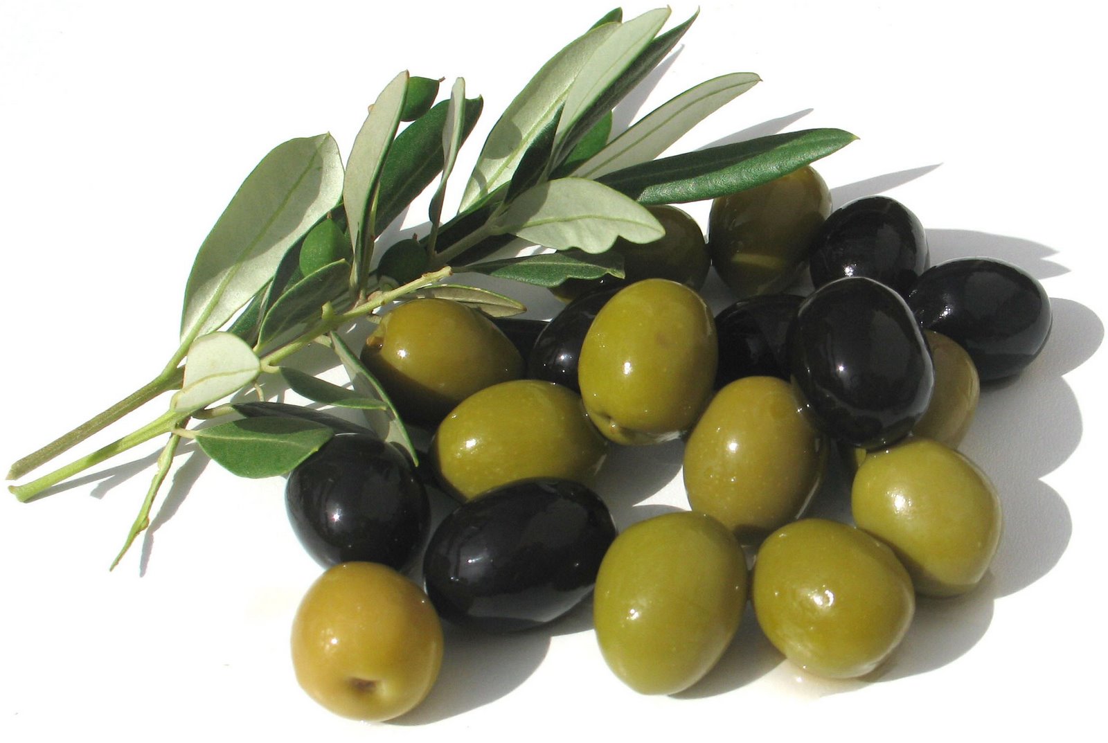 [olives.jpg]