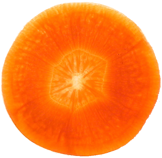 [carrot__organic__slice.gif]