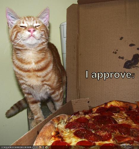 [funny-pictures-cat-approves.jpg]