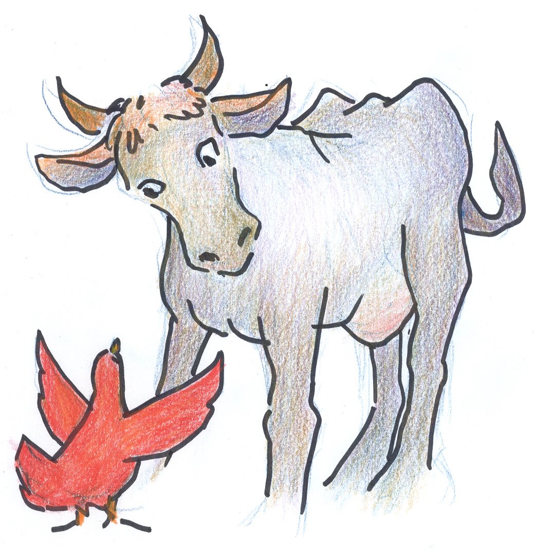 [page+seven+cow.jpg]