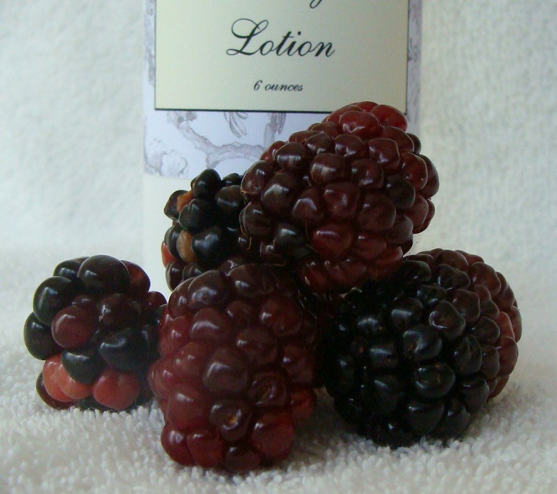 [blackberry+sage+lotion2.jpg]