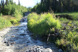 Road...on left; Beaver dam on right