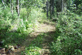 Trail on property