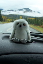 The Baby Snowy Owl mascot