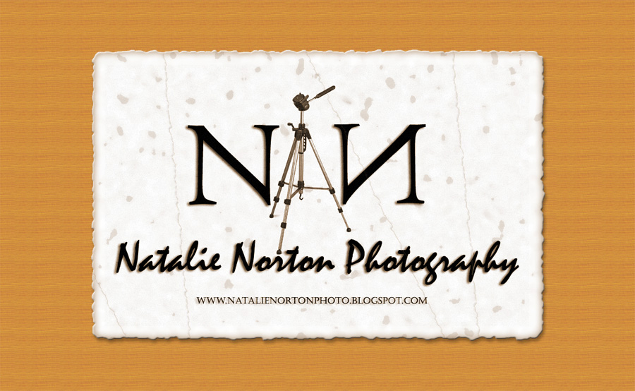 [Natalie+Norton+Photo2+copy.jpg]