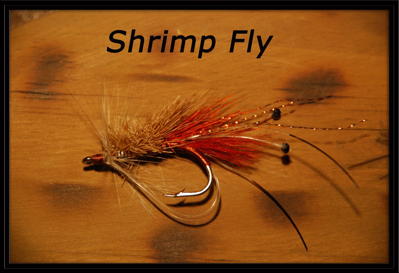 [shrimp+fly2.jpg]