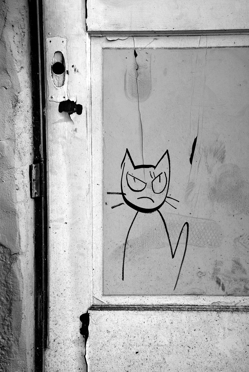[Angry+Door+Cat+B&W+Blog.jpg]