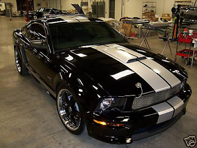 Ford Mustang Info Ford Mustang Shelby Gt 2007 Ford Mustang