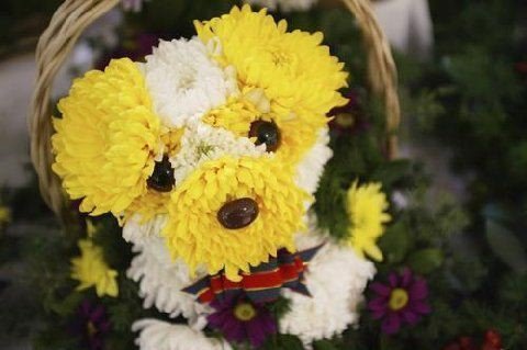 [puppy+flowers.bmp]