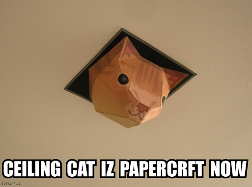 [ceilingcat_papercraft2.jpg]