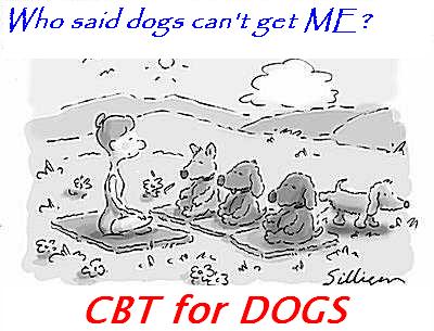 [cbt+for+dogs.jpg]