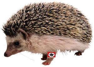 [Nazi+Hedgehog.jpg]