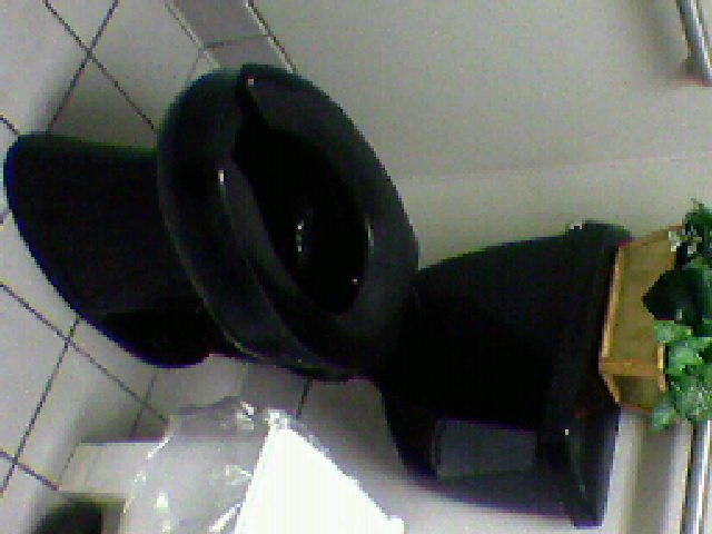 [black+toilet_05.15.2008.jpg]