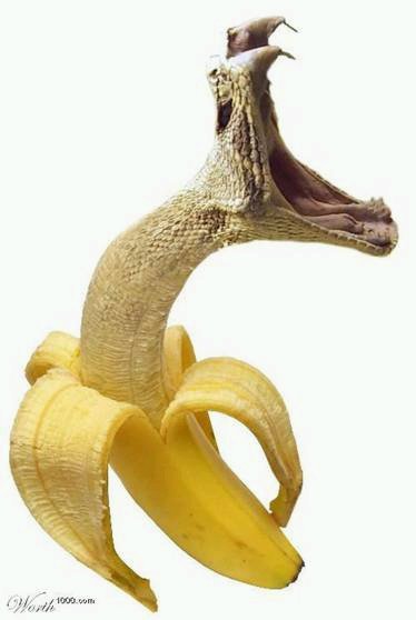 [pisang+ular.bmp]