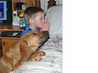 [dog+prayer.jpg]