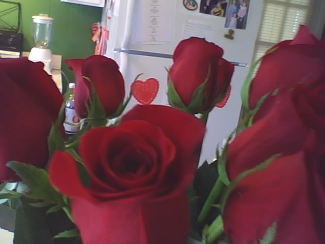 [Valentine+Roses.jpg]