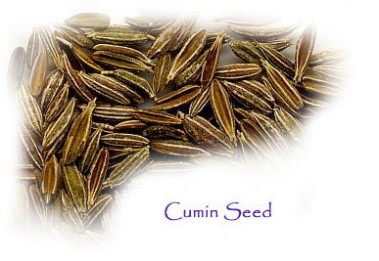 [cumin+seeds.jpg]