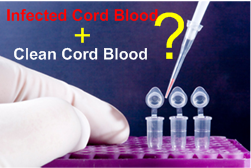 [StemCell_infected_clean_cordblood.PNG]