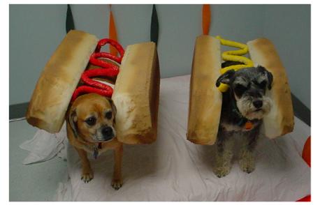 [Stella_and_Henry_Hot_Dogs_2.jpg]