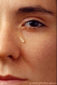 [M245778-Crying_woman-SPL.jpg]