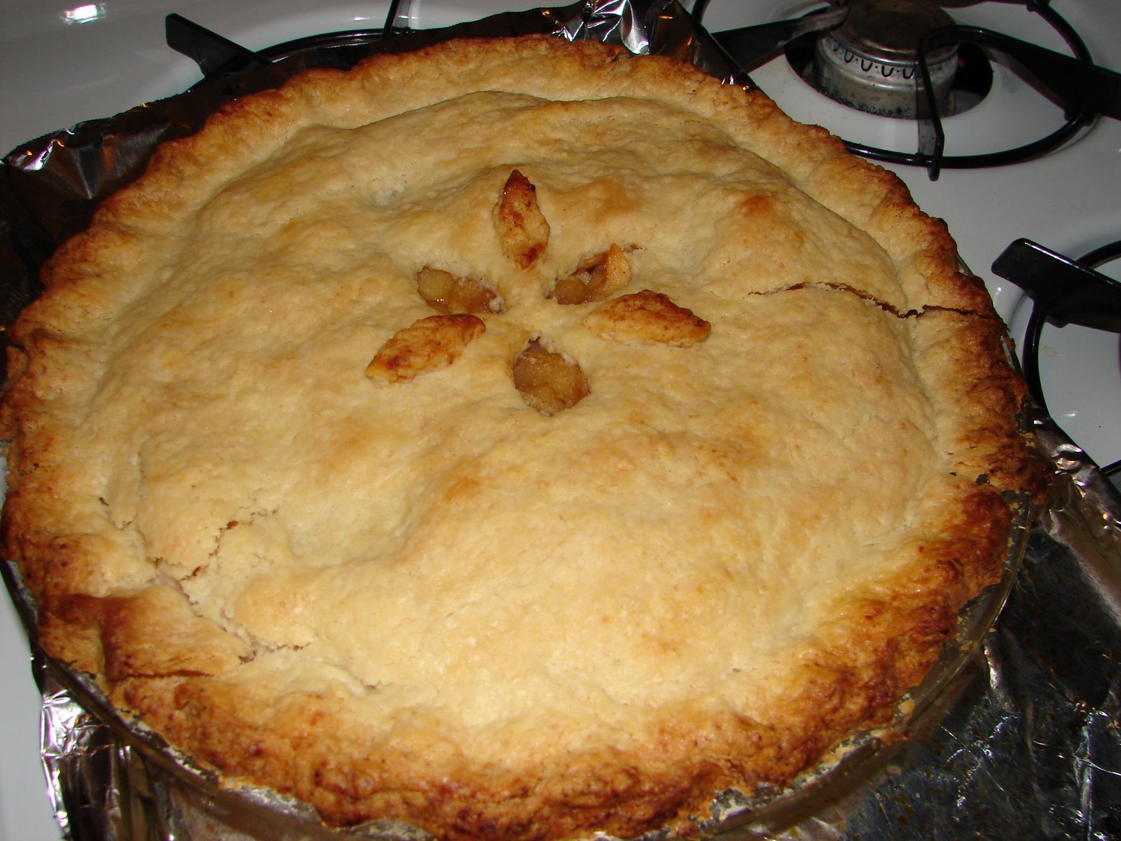 [Joy+of+cooking+apple+pie.JPG]