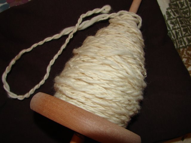 [2-ply+on+spindle.JPG]