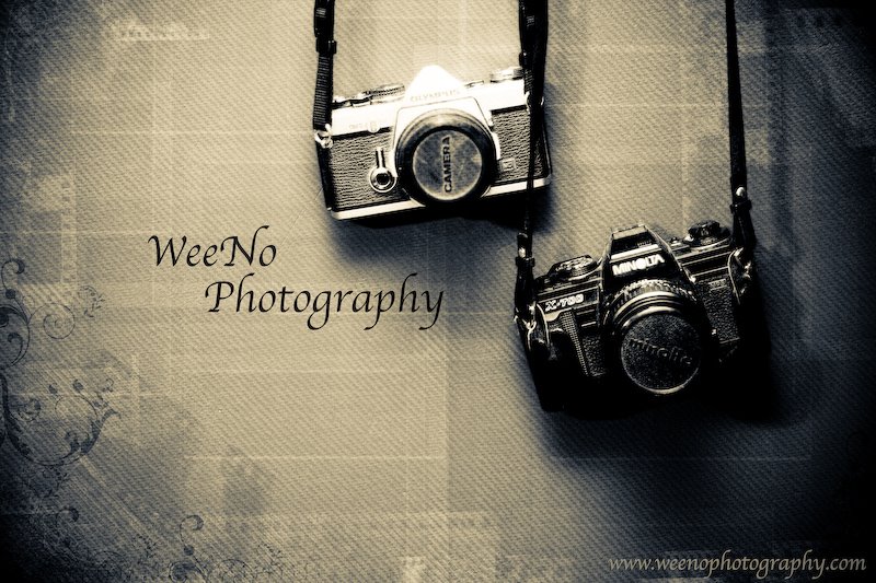 [Weeno+Photography+Film+(1+of+1).jpg]