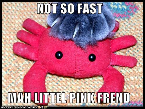 [funny-pictures-cat-grabs-pink-crab-toy.jpg]