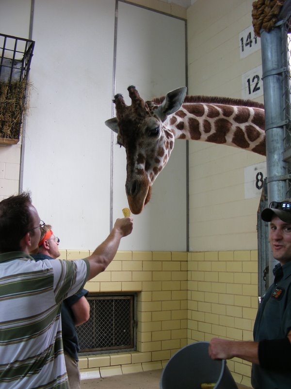 [Aaron+and+giraffe.BMP]