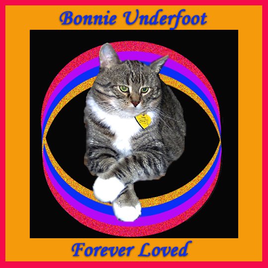 [Bonnie+Underfoot,+Forever+Loved.jpg]