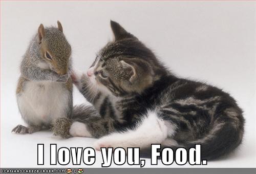 [funny-pictures-cat-loves-food.jpg]