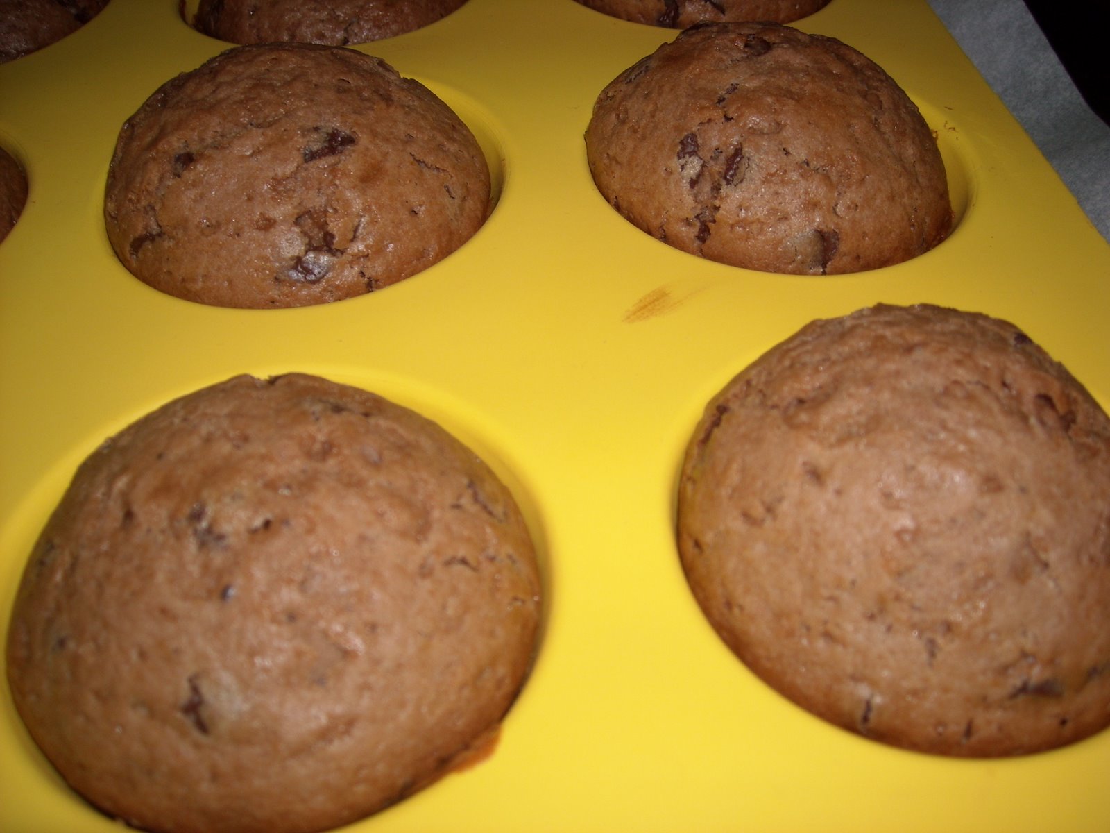 [muffin+ciocco.JPG]