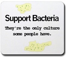 [bacteria.jpg]