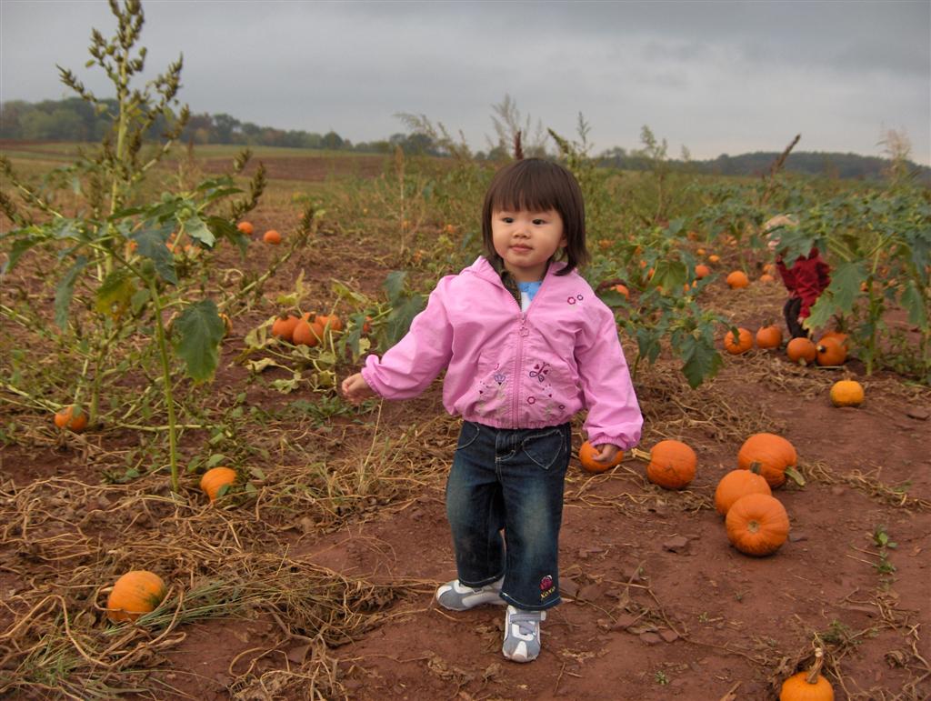 [Mary+in+pumpkin+patch+(Large).JPG]